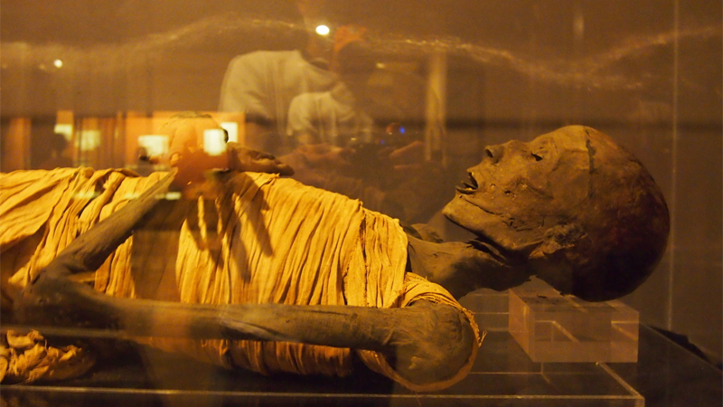 Egyptian Museums
