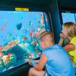 Things To Do in Hurghada
